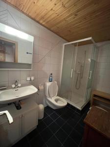 une salle de bains avec douche, toilettes et lavabo dans l'établissement Appartement avec jardin au coeur de la nature, à Zinal