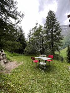 trois chaises et une table dans un champ d'herbe dans l'établissement Appartement avec jardin au coeur de la nature, à Zinal