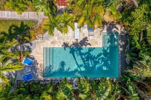 布雷登顿Manatee Palms的棕榈树环绕的游泳池的俯视图