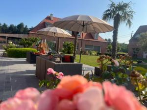Zahrada ubytování B&B DeSo
