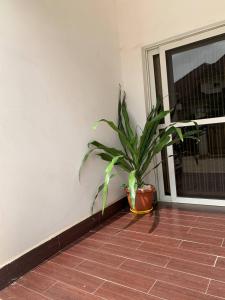 Fotografie z fotogalerie ubytování Wellaton Suites v destinaci Abudža