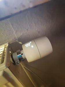 Beierfeldにあるansimali 2 - 1Zimmer-Apartment mit Wohn- und Schlafraum, integrierter Küchenzeile, separater Dusche und WC - ideal für Alleinreisende und Monteure am Spiegelwaldの壁掛け便器