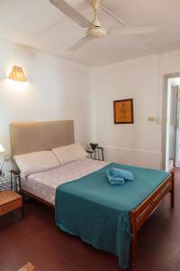 a bedroom with a bed with a blue blanket on it at Hostel Pituco - En el corazón de la ciudad in Mendoza