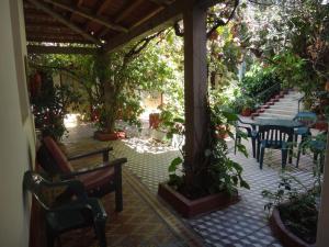 eine Außenterrasse mit Stühlen, Tischen und Bäumen in der Unterkunft Hotel Bristol in Termas de Río Hondo