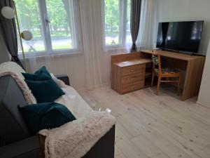 パルヌにあるPikk 24 apartment - Pärnu kesklinn - City centerのリビングルーム(ソファ、デスク、テレビ付)