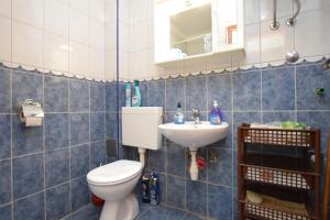 a bathroom with a toilet and a sink at Apartments Milena in Stomorska +19 photos