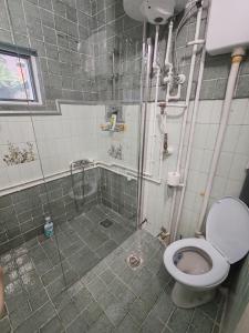 a bathroom with a shower and a toilet at Apartmani Pegasus in Vranje +12 photos