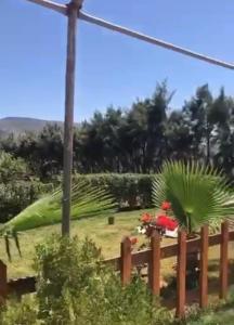 Zahrada ubytování Bungalow avec piscine