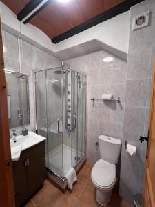 a bathroom with a shower and a toilet and a sink at Casa Cardona in Móra d'Ebre
