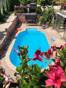The swimming pool at or close to Apartmánový dom RED