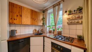 a kitchen with wooden cabinets and a stove top oven at Tanny Boho Housy na pešej zóne in Piešťany