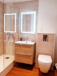 a bathroom with a toilet and a sink and a shower at Sadi Carnot - 1B Studio in Millau +1 photo