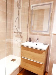 a bathroom with a sink and a shower at Sadi Carnot - 1B Studio in Millau
