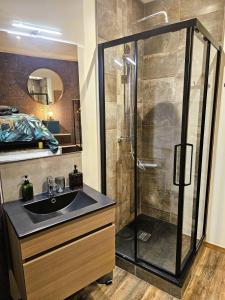 a bathroom with a sink and a shower at Mitrons - Apt A in Saint-Affrique