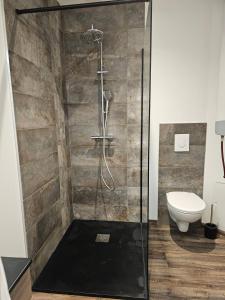 a bathroom with a shower and a toilet at Mitrons - 1A in Saint-Affrique