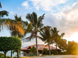 a group of palm trees in front of a house at Hampton Hill La Loma - Escapada Natural, Santiago RD 