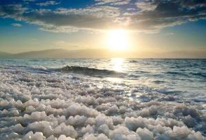 Gallery image of Rose Dead Sea Neve Zohar in Neve Zohar
