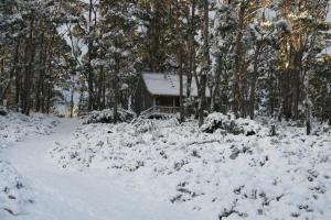 a house covered in snow in front of trees at Wombat Cabin in Moina