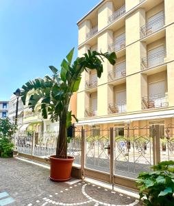 a plant in a pot in front of a building at Appartamenti Gabicce Mare in Gabicce Mare