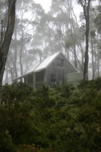 a barn in the fog in the woods at Wombat Cabin in Moina
