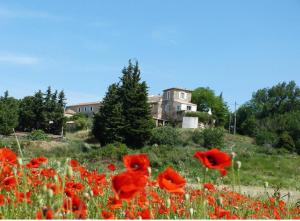 a field of red poppies in front of a house at Maison de vacances en pleine nature in Aurons