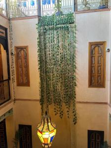 Fotografie z fotogalerie ubytování Riad Alice Terrace & Spa v Marrákéši