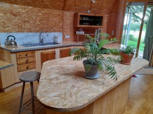 a kitchen with two potted plants on a counter at Chambres en roulotte sur lieu atypique de ressourcement in Mauzac-et-Grand-Castang