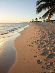 Příroda nedaleko hotelu