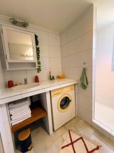 Un baño con lavadora y lavabo. en La Dolce Villa avec Piscine, en Zonza