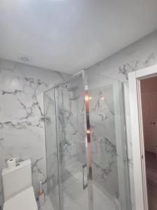 a bathroom with a shower and a toilet at La Remonta in Santander