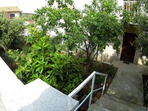 eine Treppe, die in einen Garten mit einem Baum führt in der Unterkunft Apartments Sunag in Šibenik