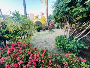 Fotografie z fotogalerie ubytování Hotel palococo v destinaci Las Terrenas