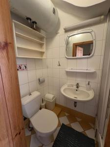 Koupelna v ubytování Litinterp