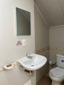 Un baño de Tropical Dreams