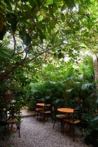 Κήπος έξω από το chilltepe