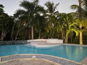 a large swimming pool with palm trees in the background at hotel la Métisse in Saint-François
