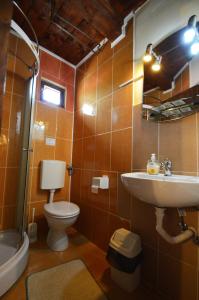 uma casa de banho com um WC e um lavatório em Arts and Crafts Guesthouse em Baia Sprie