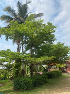 Zahrada ubytování โพธิ์ทองริมทุ่ง Pothong Rimtung Hotel