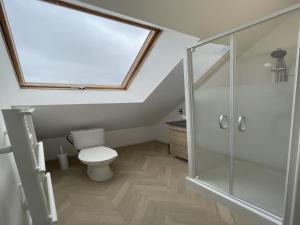 a bathroom with a toilet and a skylight at Duplex in Noyen-sur-Sarthe near Le Mans in Noyen-sur-Sarthe