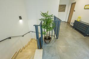Fotografia z galérie ubytovania Villa Manus - Boutique Apartments v Lovrane