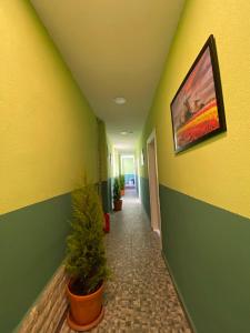TV a/nebo společenská místnost v ubytování xo hostels bjv