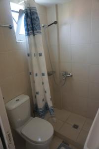 a bathroom with a toilet and a shower with a shower curtain at Valentino Apartments in Bali