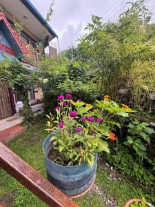 Fewa View Cottage Yoga Retreat Pokhara外面的花园