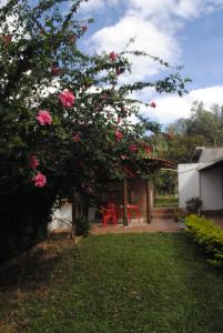 a garden with a tree with pink roses at Che Parce in Samaipata