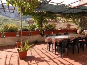 Giardino di Casa David
