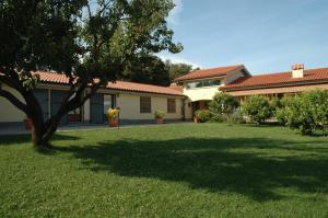 a yard with a tree and a house at Agriturismo Valle Siriaca in Castelnuovo di Porto +93 photos
