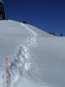 Gasthof Lamprechtbauer a l'hivern