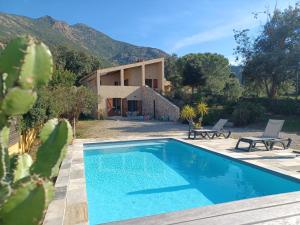 ein Swimmingpool vor einem Haus in der Unterkunft Villa Padulina au bord de la mer avec piscine in Galeria