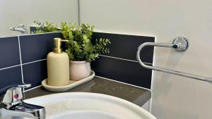 ein Badezimmer mit einem Waschbecken und einer Pflanze auf einer Theke in der Unterkunft Sienna Rise - Walk to Westfield sleeps 6 North Lakes in North Lakes + 29 Fotos