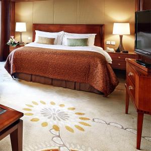 a bedroom with a large bed and a television at Lakeview Xuanwu Hotel in Nanjing